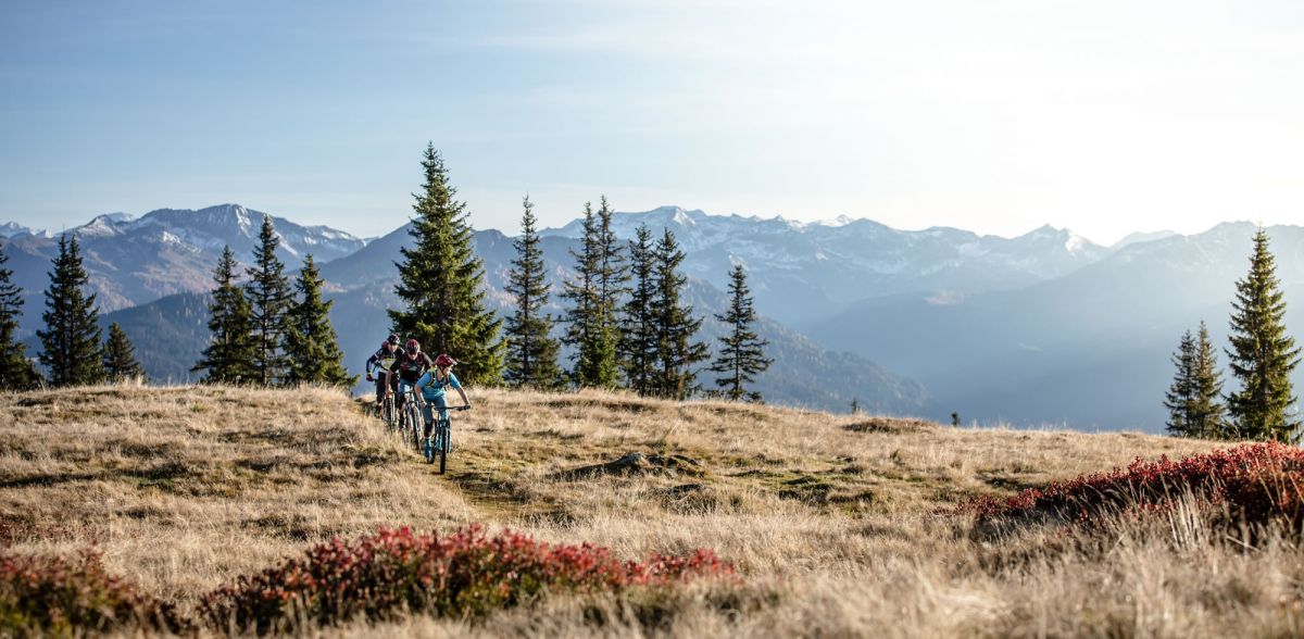 Mountainbiketrail Stoneman Taurista © Stoneman Taurista - Dennis Stratmann