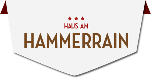 Hotel-Garni Haus am Hammerrain in Flachau mit Zimmer und Ferienwohnungen